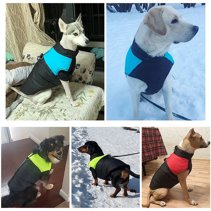 Waterproof Winter Jacket for Dogs (Small, Medium and Large Dogs)